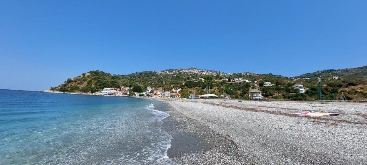 Mirsinia Apartments - Skopelos Loutraki  Exteriér fotografie